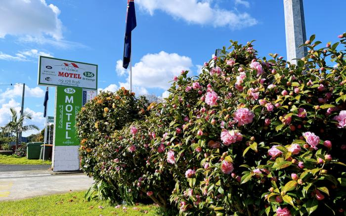 136 St George Motel