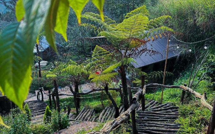 ĐÔNG Homestay 