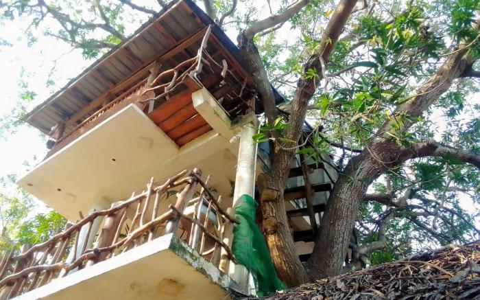 Mango tree hotel & restaurant 
