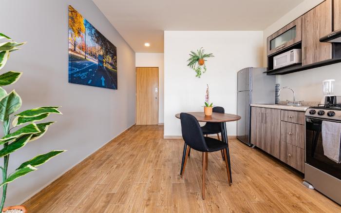 Roma Norte Apartments by VH
