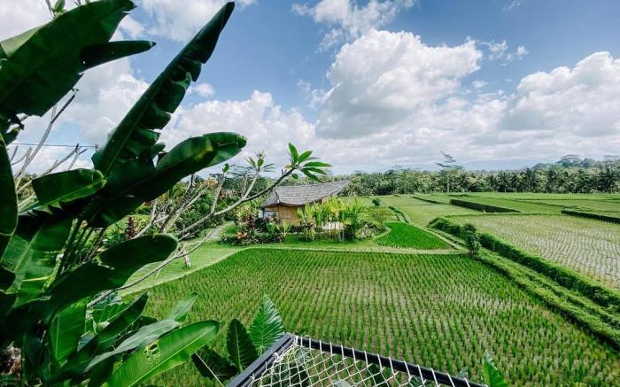 IPIAN Cinta by GenuineHost 