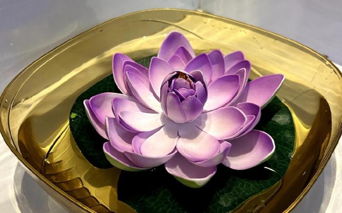 Agora Stays "Near Expo Mart"