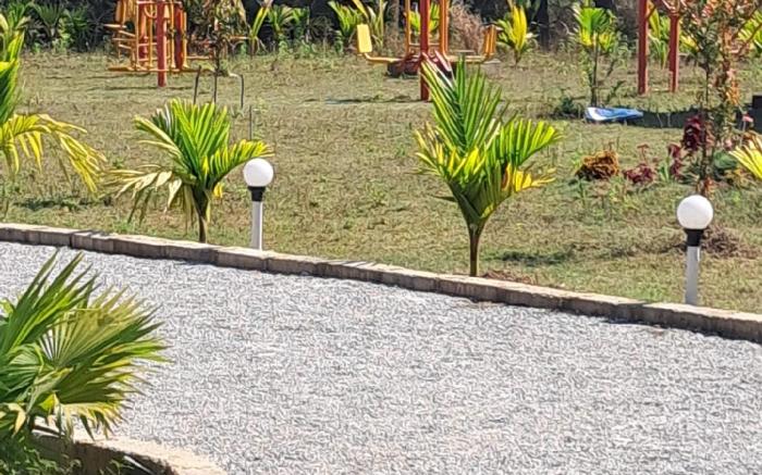 Cheetah Farms Jungle Stay