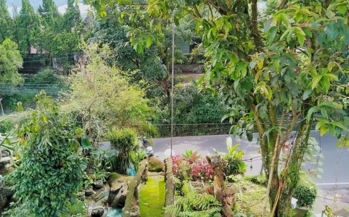Homestay Pall Inn