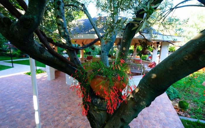 Gürel Garden House