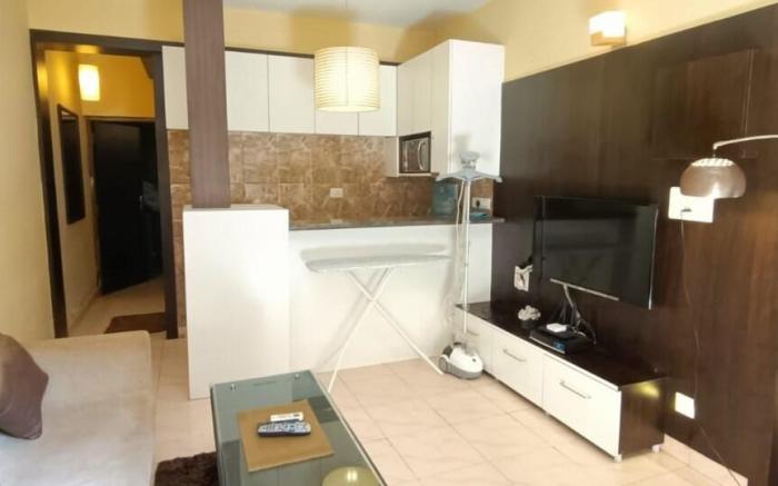 Lavish 1 Bedroom Apartment With Pool/Backup