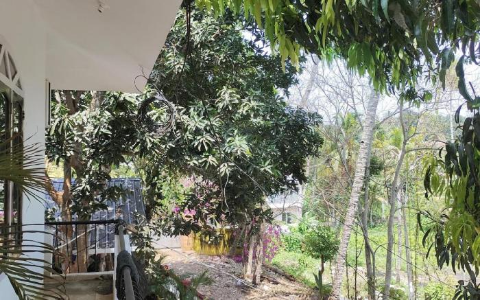 Sattva Retreats 