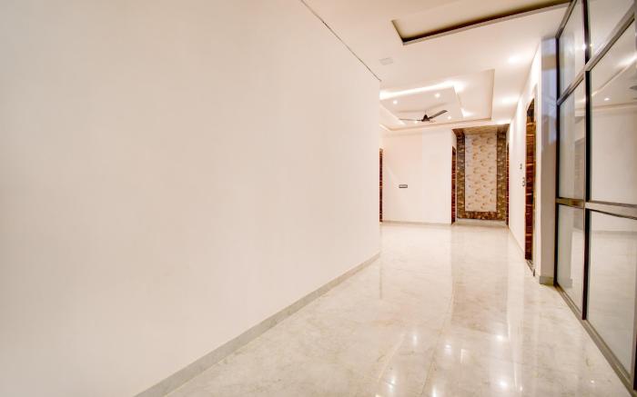 Collection O THE ORAYA