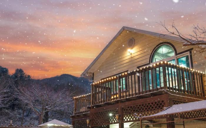 Gapyeong Venezia Dog Pension