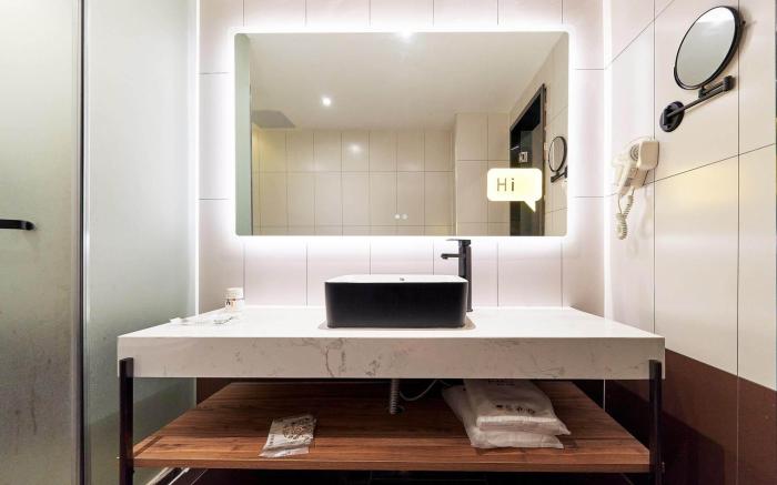 IU Hotel Shenzhen Futian Port Metro Station
