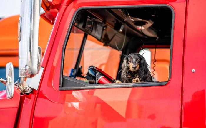 Motel 6 Memphis, TN - Graceland