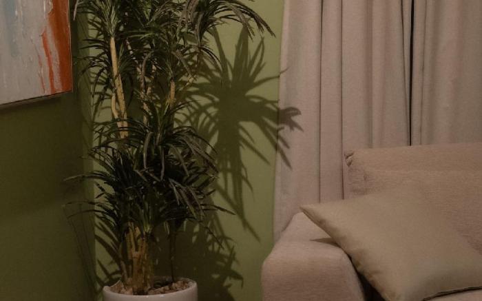 Green Key Apartment