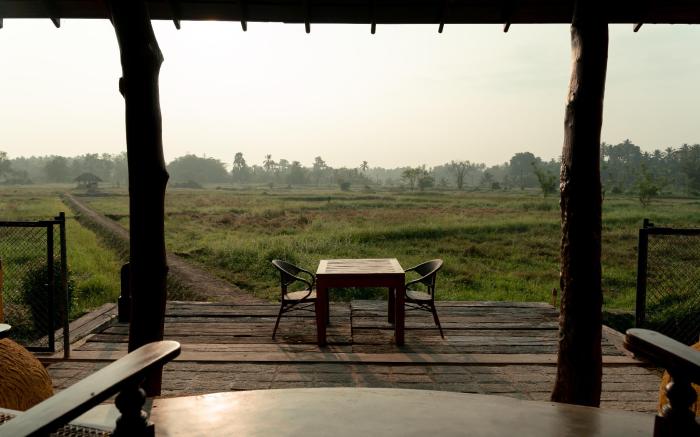 Kirindi Paddy Isle