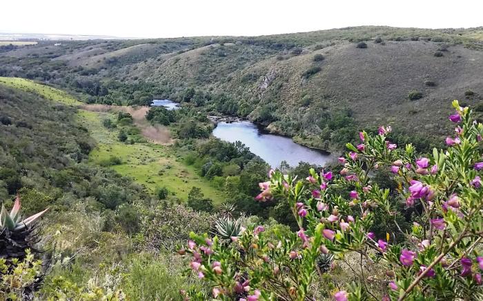 Wild Rescue Nature Reserve