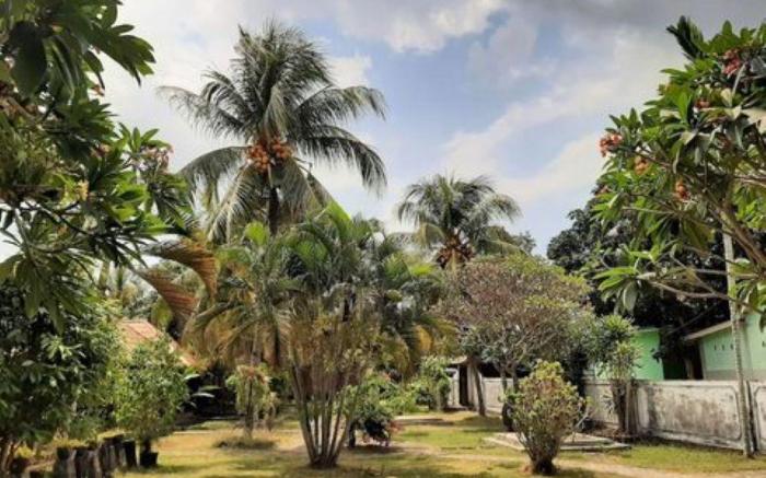 New Taman Sari Homestay