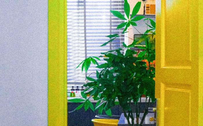 H"Home: Apartment in central district 1