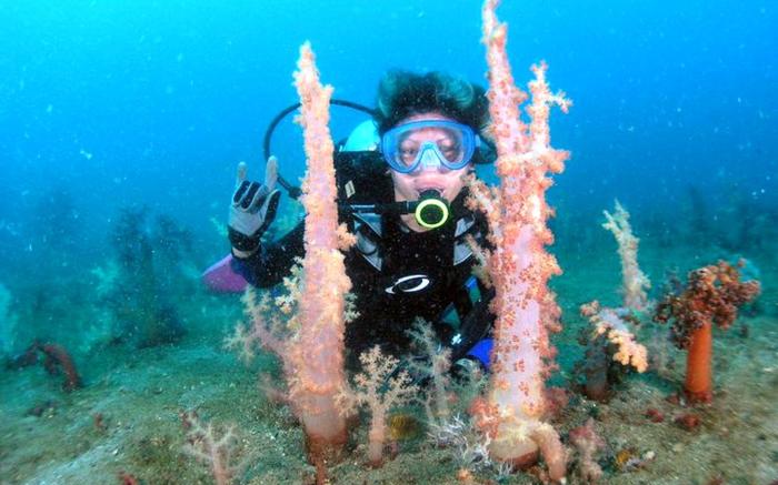 Bentrina Diving Resort