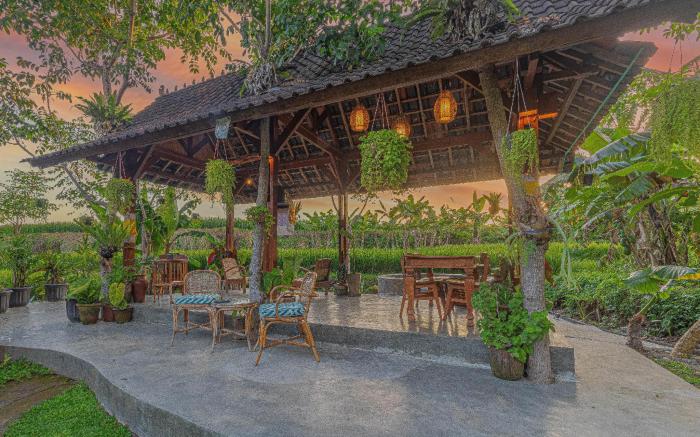 Abian Ubud View