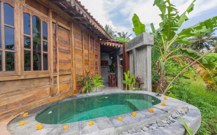 Abian Ubud View