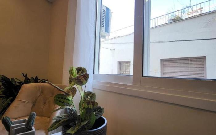 bd renovated flat at acropolis