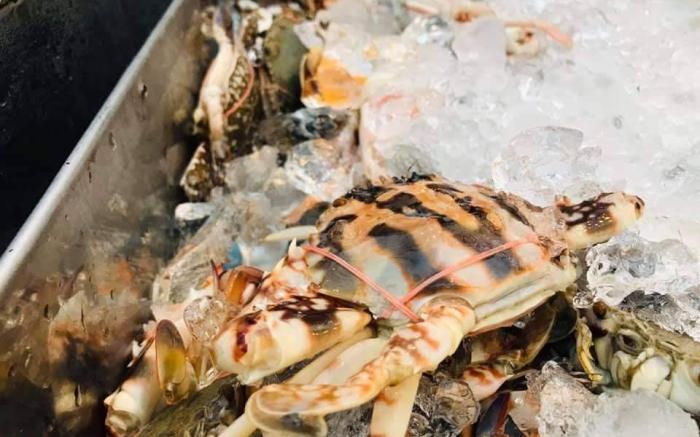 The Toy Hoteru Resort Rayong