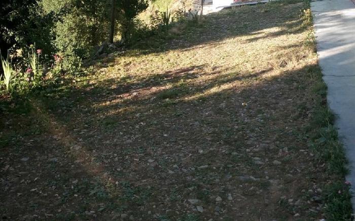 Live in nature