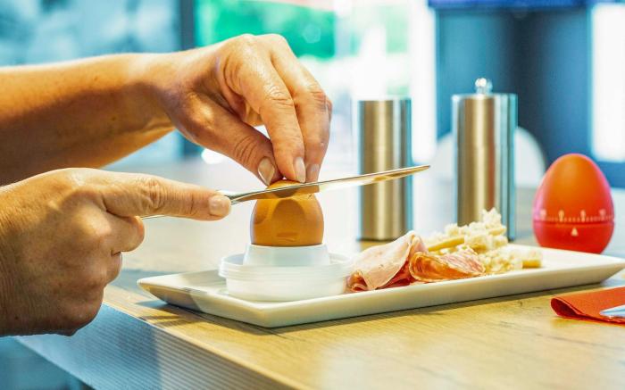 ibis Mulhouse Île Napoléon