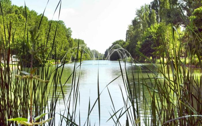 ibis Mulhouse Île Napoléon