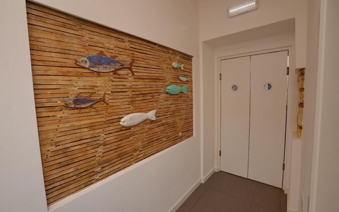 Son of a Beach Hostel