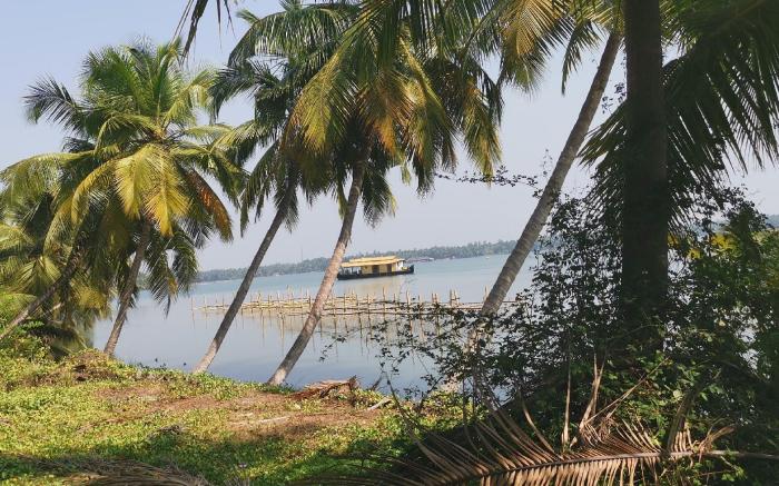 Lake View Homestay