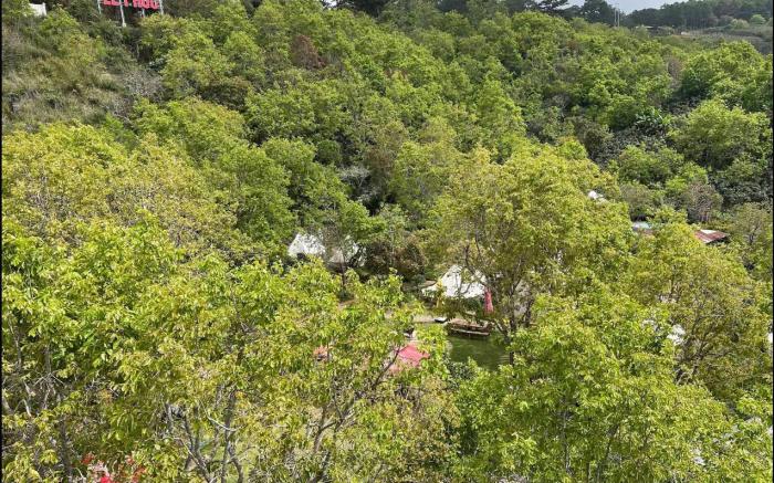 Vuon Hong Le Phuc-Cau Dat Glamping Retreat Dat Lat