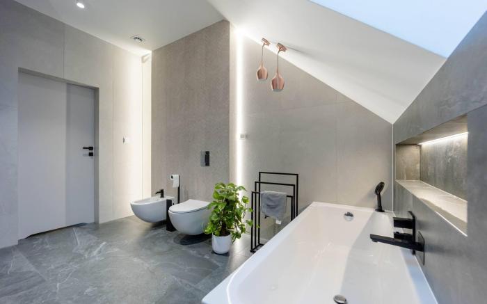 Luxurious villa with pool near Energylandiai