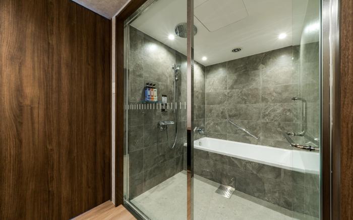 Daiwa Roynet Hotel Hakata Reisen PREMIER