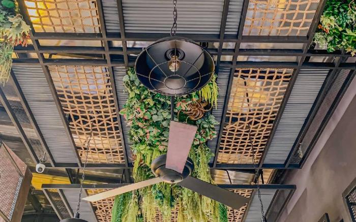 The Twizt-Lifestyle Hostel & Hotel