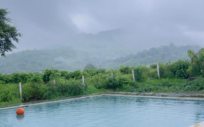 Yash Farm