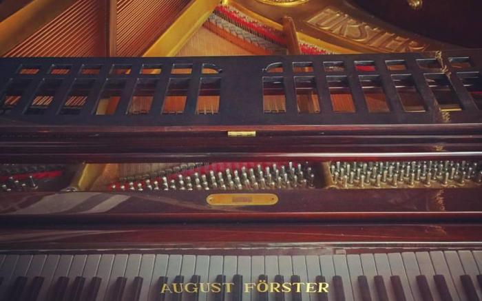 Starry Forest Cottge