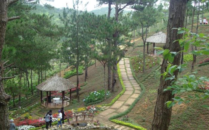 Rung Hoa Hotel