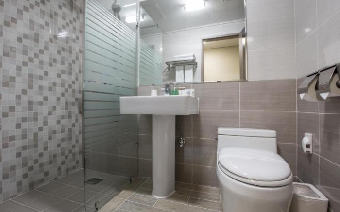 Elin Hotel (Korea Quality)