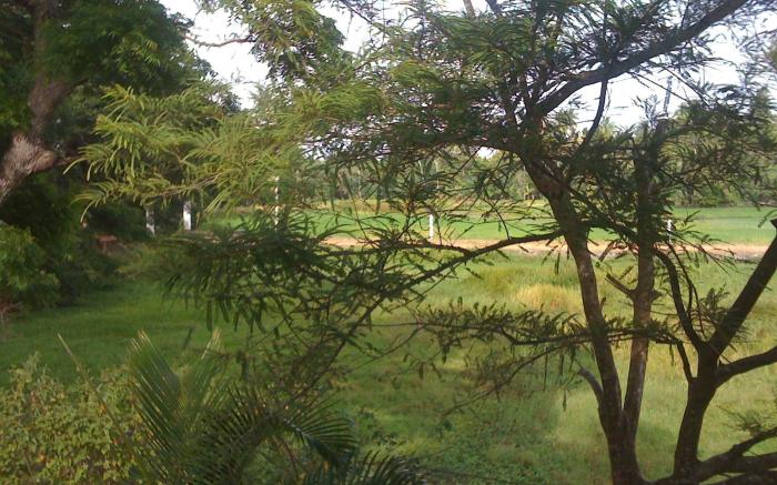 Nilketha Villa Eco Hotel