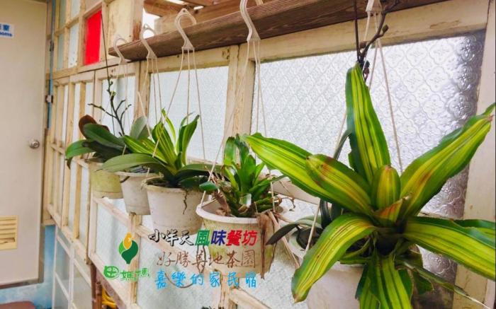 嘉樂的家