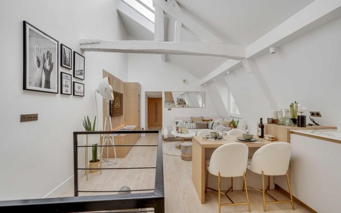 AMAZING HISTORICAL PARISIEN LOFT 