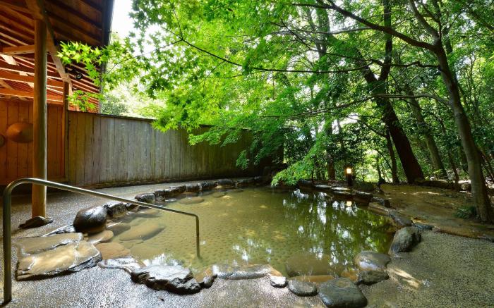 Ueyama Ryokan