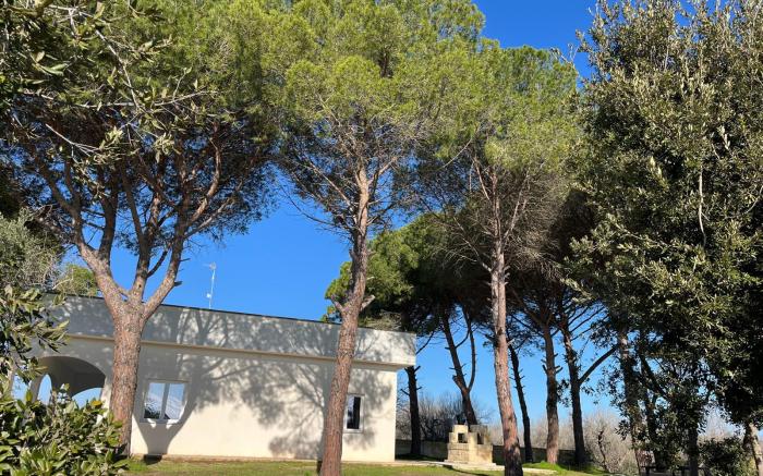 Tenute Masseria Notari  Borgagne