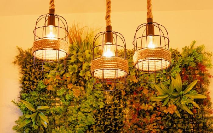 3BHK Tropical Haven near Dhan mill chattarpur