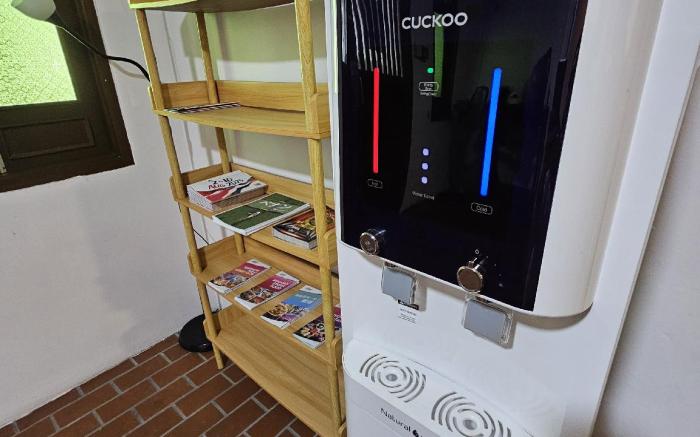 Heliconia by Treebridge