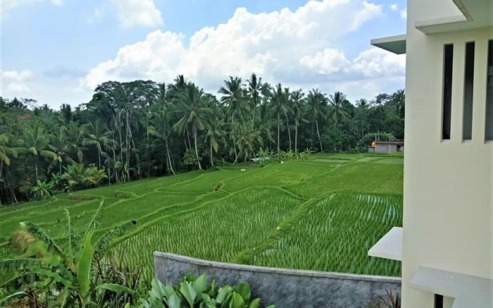 D Lobong Suite