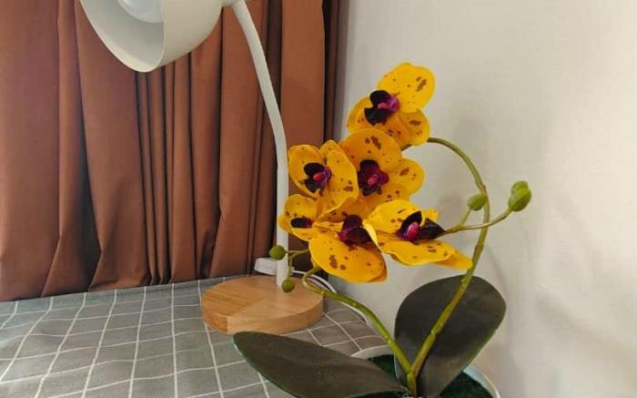 Sunway Resort Suites 2-5 pax