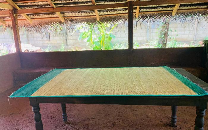 Gk Immersions-Things to do provider-Anuradhapura