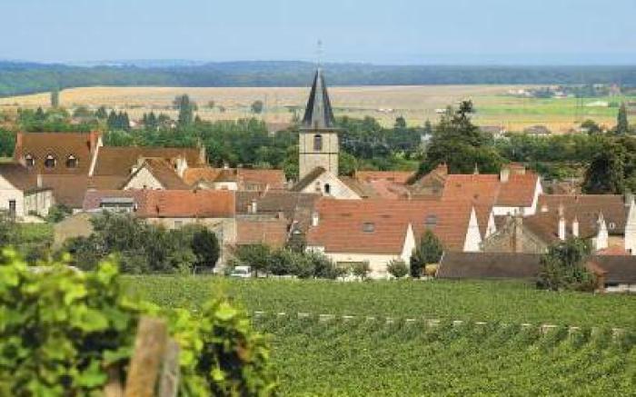 Le Richebourg Hotel, Restaurant & Spa
