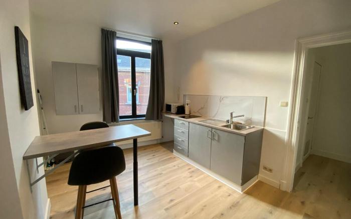 Comfortable apartment